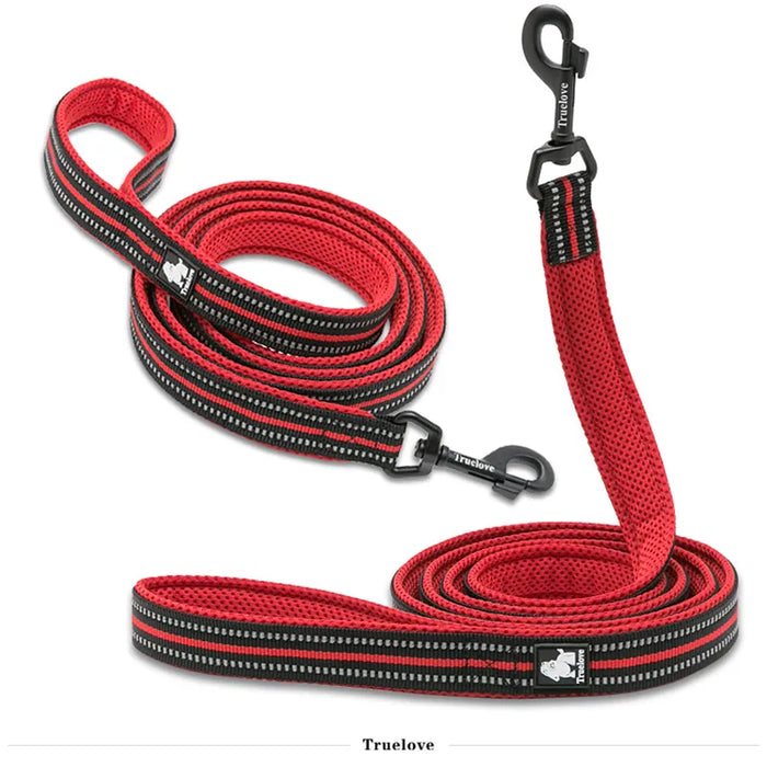 Truelove Pet Leash