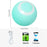 MoonBiffy Electric Ball Toy