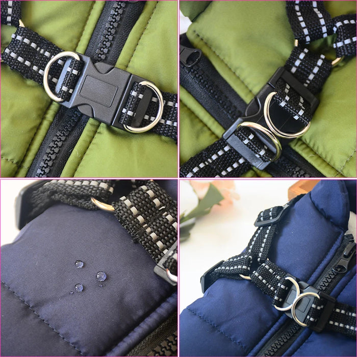 Beautiful Dog Jacket With Harness