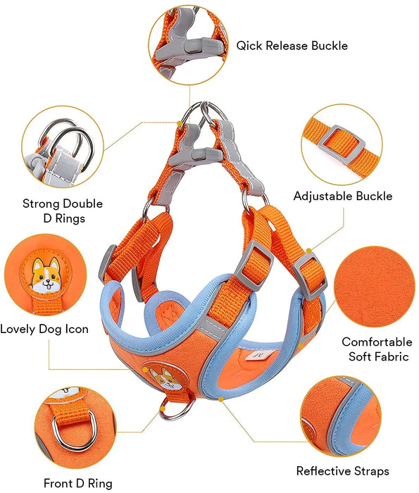 Adjustable Reflective Small and Medium Dog Harness with Leash