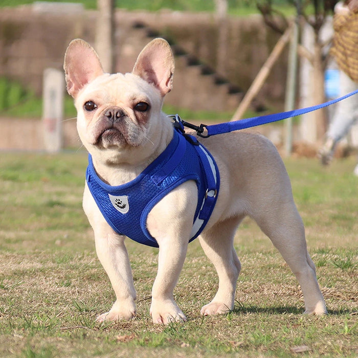 Pet Dog Harness Leash Adjustable Harness