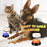 Voice Recording Buttons for Pet Communication Training