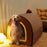 Large Foldable Indoor Dog and Cat House