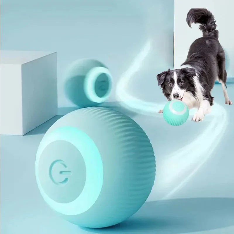 MoonBiffy Electric Ball Toy